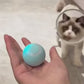 Smart ball for cats
